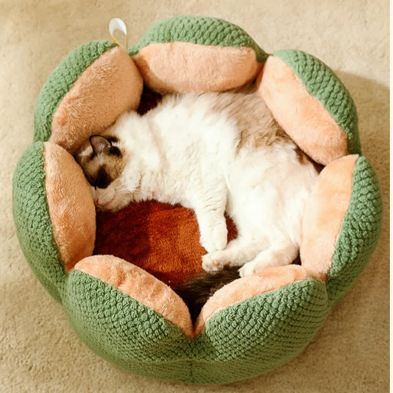 FuloraPet™ CozyCactus Nest
